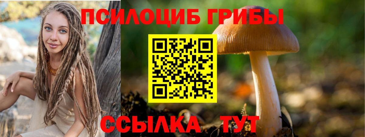 Псилоцибиновые грибы ЛСД  Вход с VPN  Саяногорск 